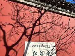 -红螺寺