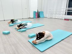 -快乐琴弦音乐舞蹈艺术教育中心(马连道校区)