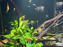 -常州海昌海洋探索馆