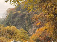 -少华山国家森林公园