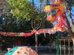 -上海海湾国家森林公园