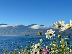 -泸沽湖里格半岛