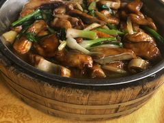 -鲤鱼塘农家山庄