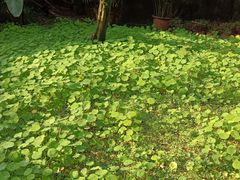 -重庆交通大学-1食堂