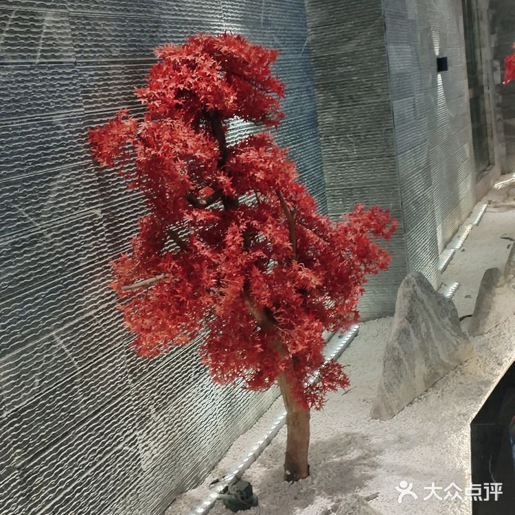 和牛必选之地灸景荟