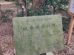 -珞珈山-售票处