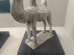 -安阳博物馆