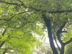 -上海虹桥迎宾馆