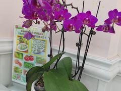 -谦和素食自助餐(云峰花园店)