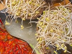 -阳阳老火锅(小南门店)