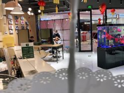-T8 SALON