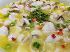 青花椒味砂锅鱼-青花椒花椒鱼(合生汇店)