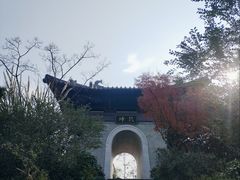 -雅达·阳羡溪山小镇中心