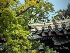 -潭柘寺景区