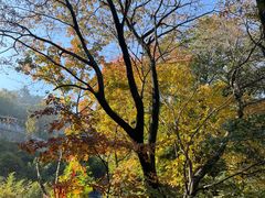 -终南山南五台景区