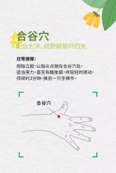 -宝生月子中心·独栋独院式(南山店)