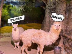 -正佳雨林生态植物园
