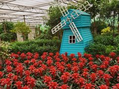 -南宫五洲植物乐园