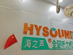 -海之声助听器(跃进南路赤坎店)