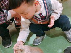 -藦茜花园宠物主题亲子互动体验馆(国顺东路店)