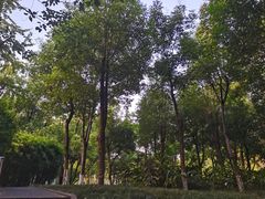 -重庆彩云湖湿地公园