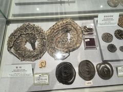 -北京中医药大学-中医药博物馆