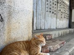 -大澳