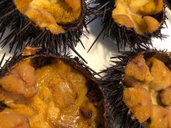 -海胆小馆(东北水饺·春柳店)