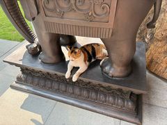 -龙华素斋(龙华路店)