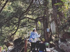 -藏龙百瀑风景区