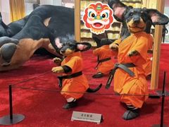 -云洲古玩城(大木桥路店)