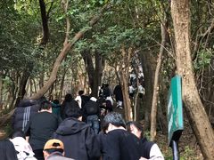 -紫金山山顶公园