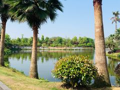 -枫香湖儿童公园