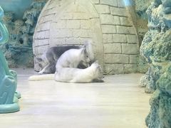 -华夏文旅海洋公园