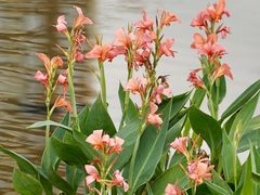 -光明小镇欢乐田园