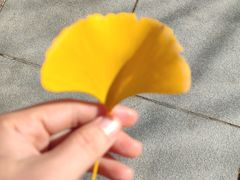 -范特西FANTASY量贩式KTV(民主广场店)