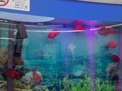-雅悦齿科(顾村公园店)