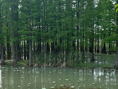 -艾溪湖湿地公园