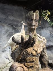 -Zoolung Zoolung动物主题公园(海信广场店)