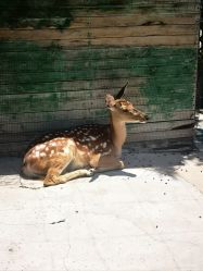 -萌宠亲子动物乐园(槐房万达店)