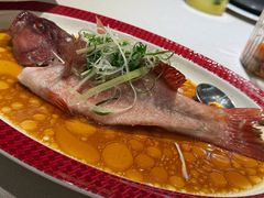 -圆苑(静安寺店)