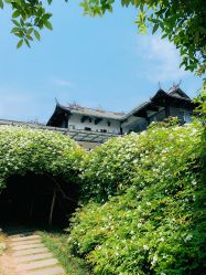 -成都飞越丛林探险乐园(锦绣城园区)