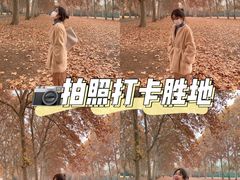 -河南省黄河迎宾馆