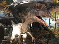 -湖南省地质博物馆