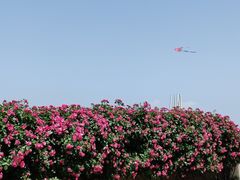 -上海滨江森林公园