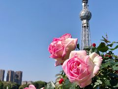 -文华公园(禅城区)