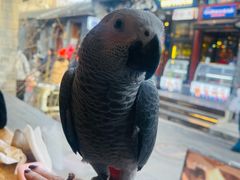 -闲·胡同 Barblu Hutong(雍和宫五道营店)