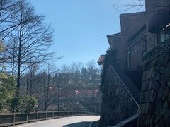 -金鱼妈妈 山野·食趣(荫山街店)