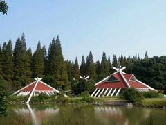 -东平国家森林公园