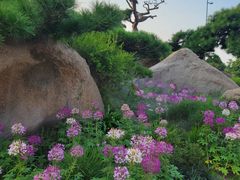 -罗红摄影艺术馆